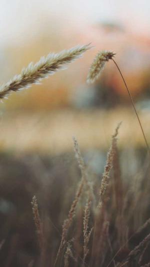 51吃瓜热心截图2